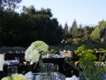 botanic-garden-0055-jpg